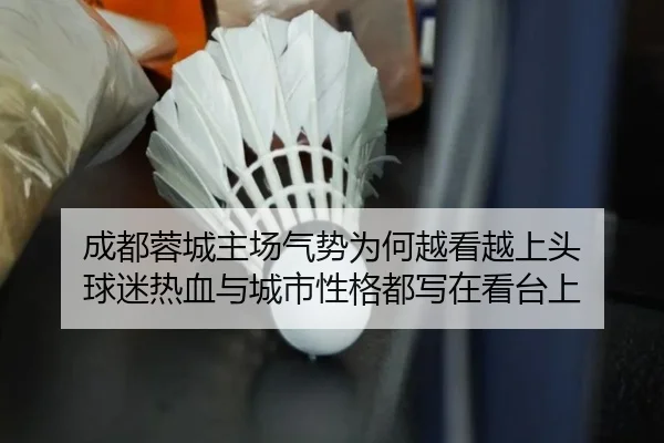 成都蓉城主场气势为何越看越上头 球迷热血与城市性格都写在看台上